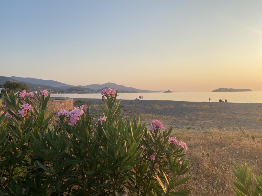 Lysenergi Reiki - Reiki healing, NADA og massage i Silkeborg